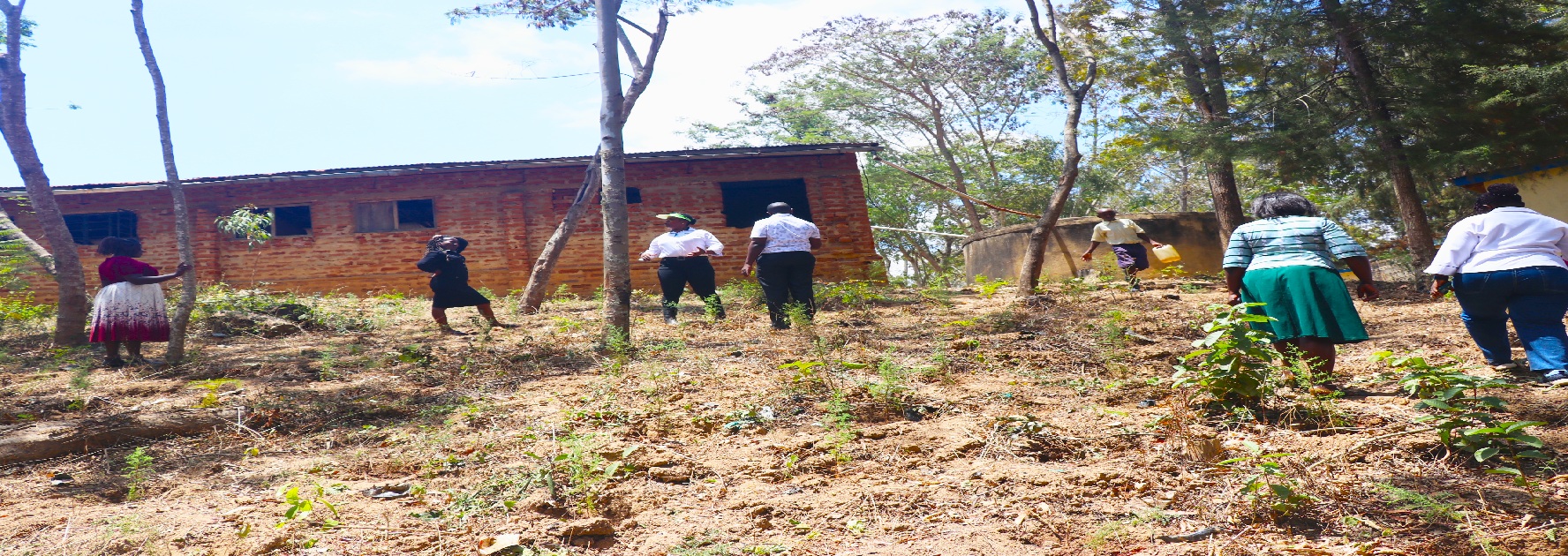 Photo: Institute’s officers, pupils and teachers of Kwa Ukungu Comprehensive Primary School planting trees in the Kitui-based learning institution